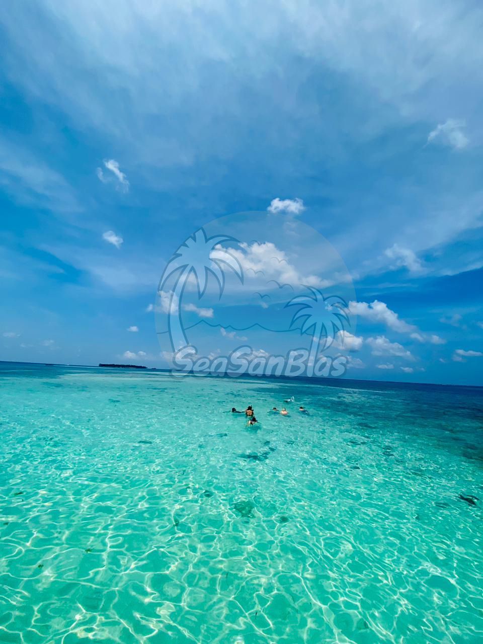 A couple of people are swimming in the ocean.