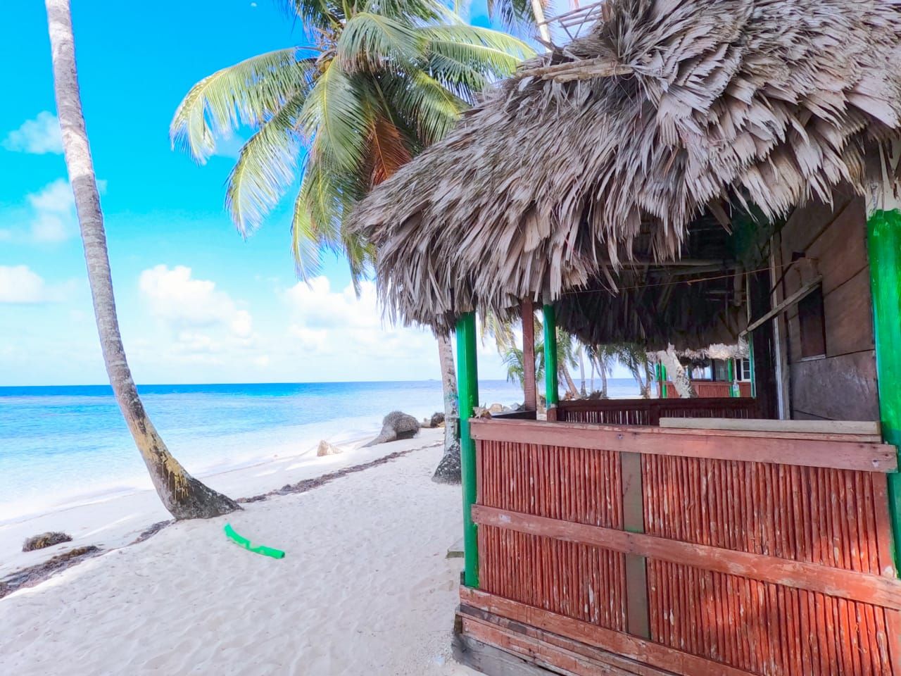 A tropical beach with palm trees and a blue sky
