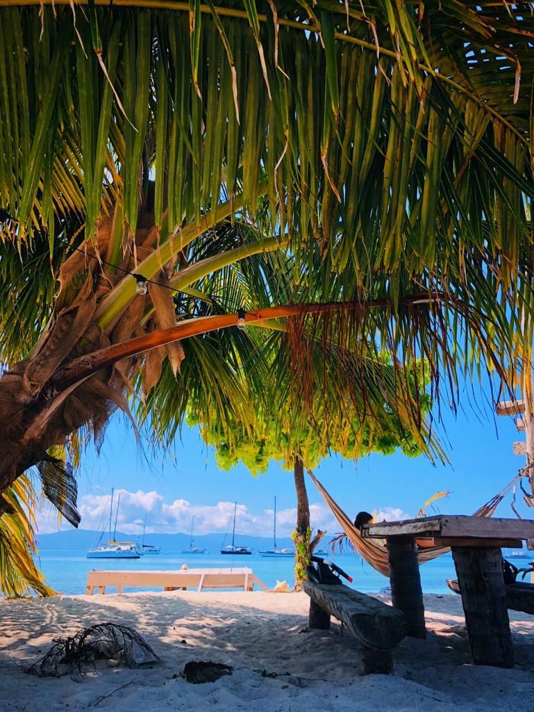 a person is laying in a hammock on a beach under a palm tree on a cayos holandeses trip to san blas