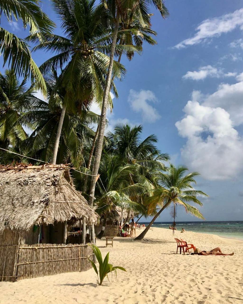 a thatched hut sits on a sandy beach surrounded by palm trees on franklin island