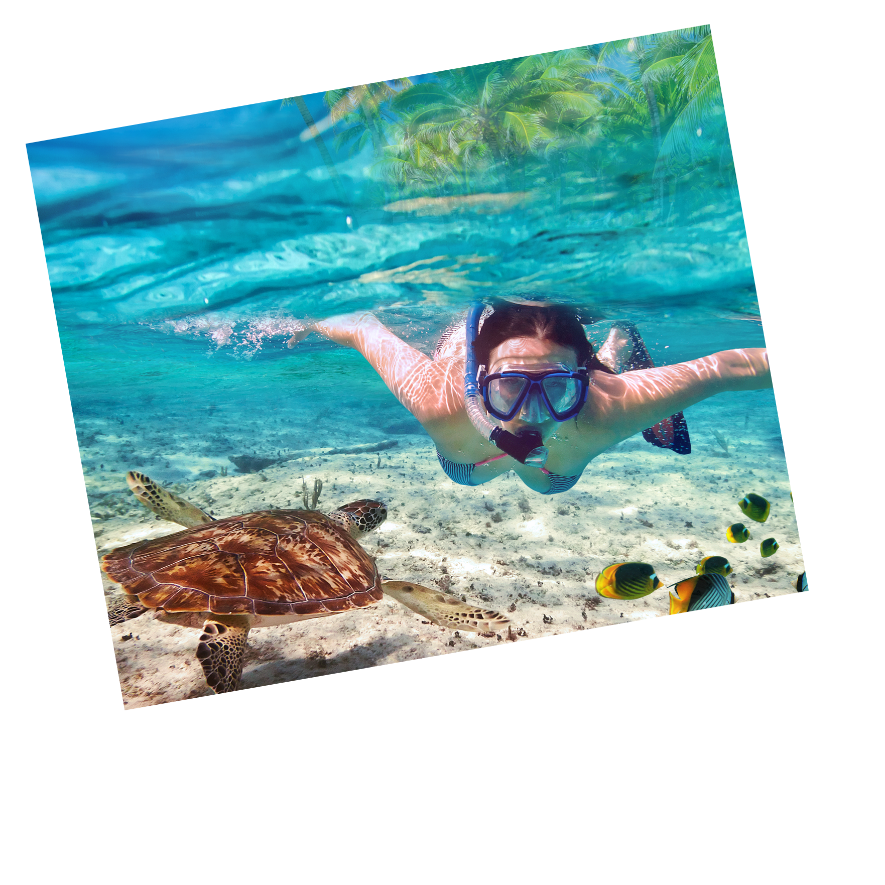 a woman is swimming in the ocean near a turtle in the san blas islands