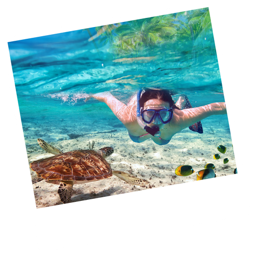 a woman is swimming in the ocean near a turtle in the san blas islands