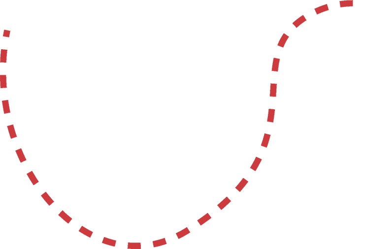a red line with white dots on a white background .