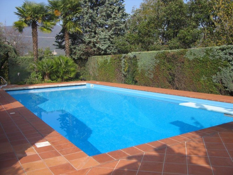 Una grande piscina circondata da alberi e cespugli