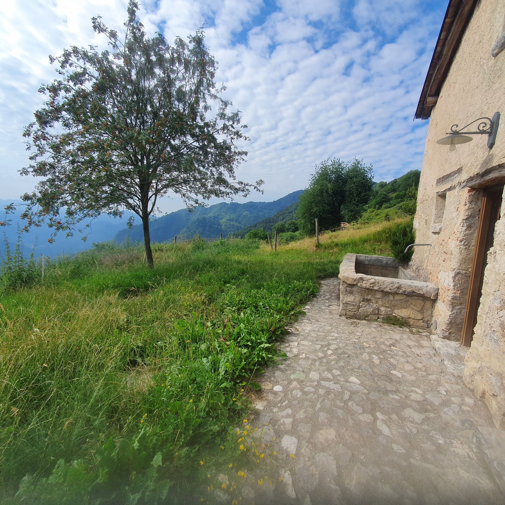 Un sentiero in pietra che conduce a un edificio con un albero in primo piano