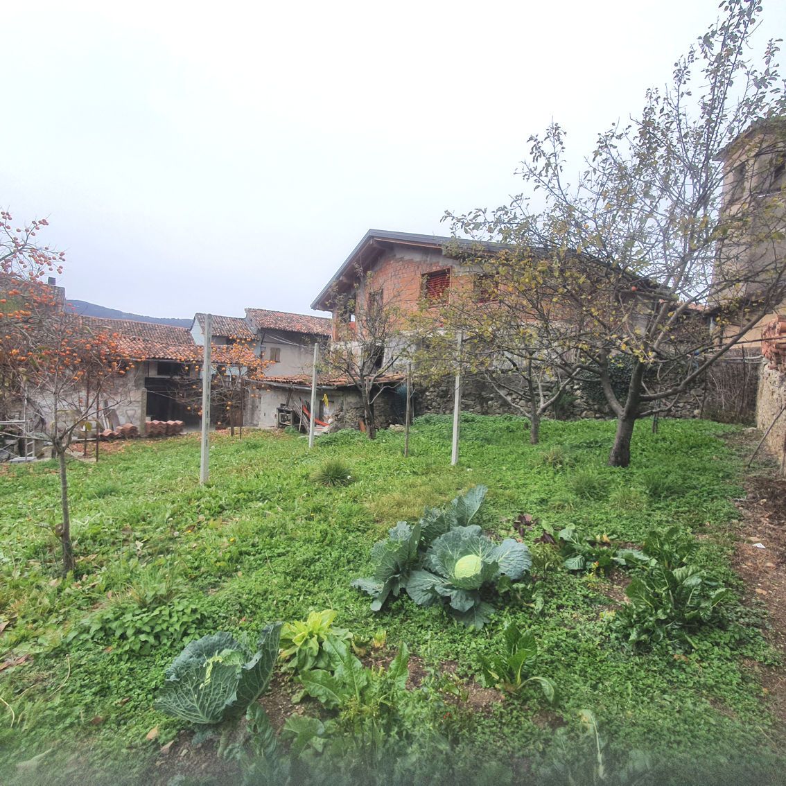 Un grande campo erboso con una casa sullo sfondo.