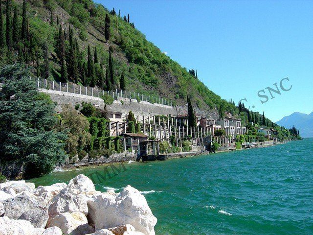 La parola snc che è su una foto