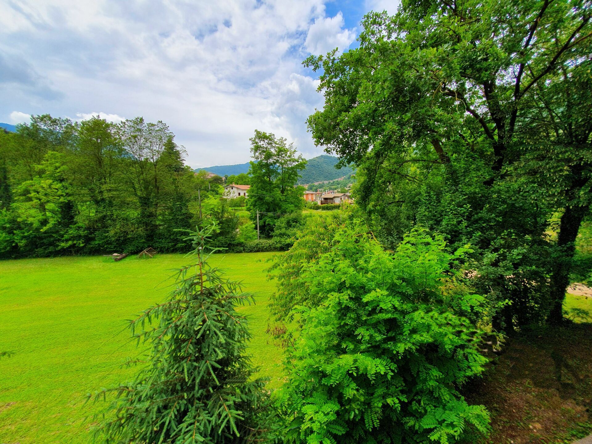 Un campo verde lussureggiante circondato da alberi e cespugli in una giornata nuvolosa.