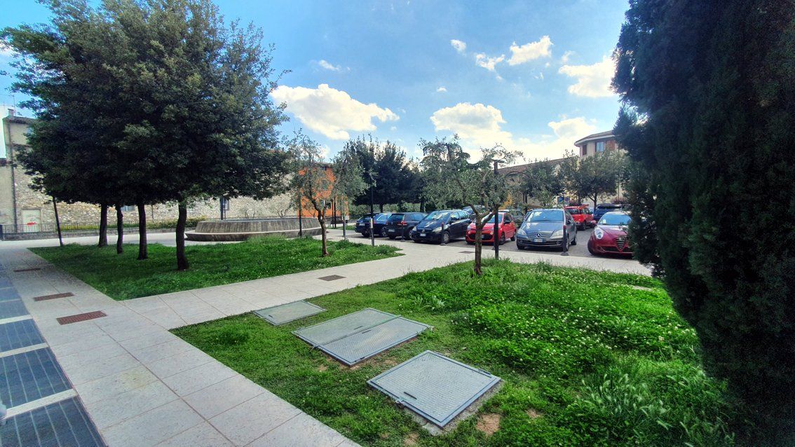 Una fila di auto è parcheggiata in un parcheggio di un parco.
