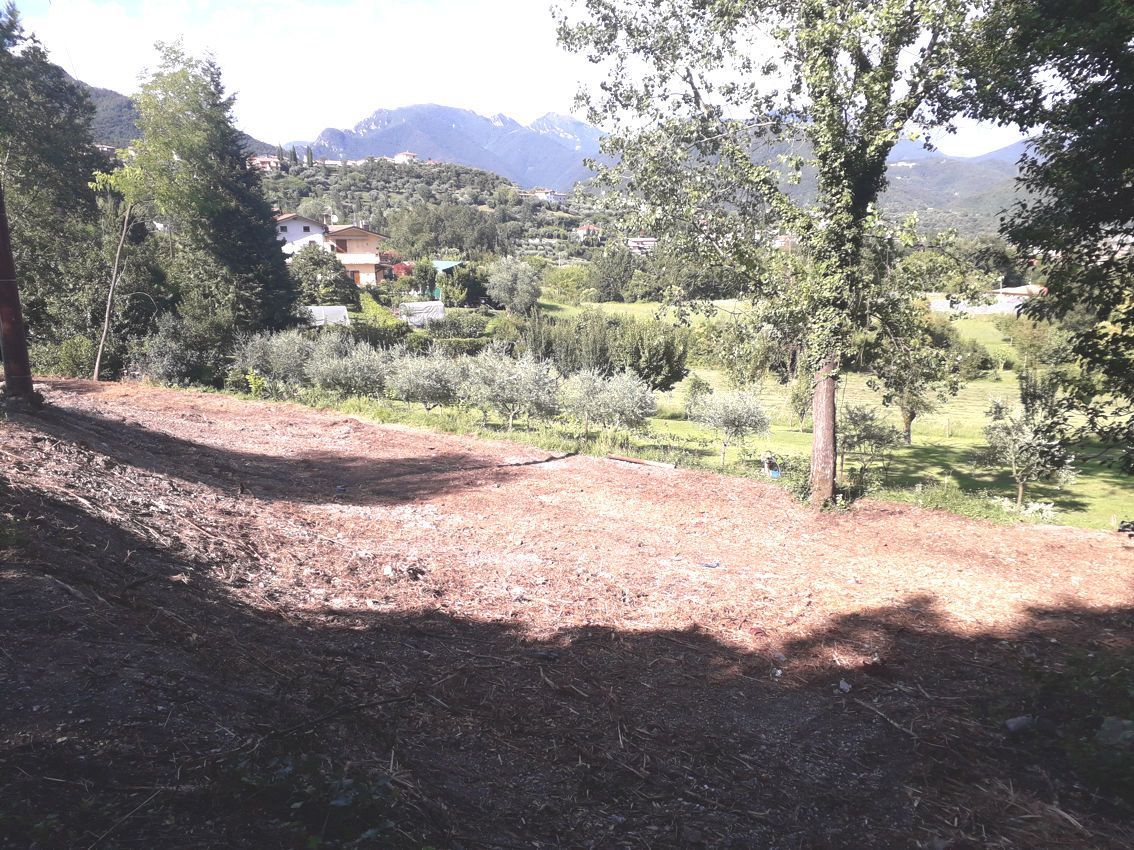 Un campo sterrato con alberi e montagne sullo sfondo