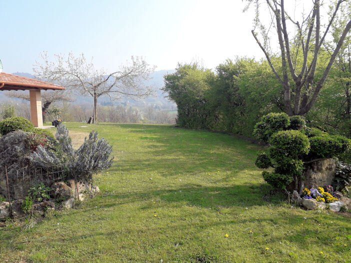 Un grande campo verde lussureggiante con alberi e cespugli sullo sfondo.