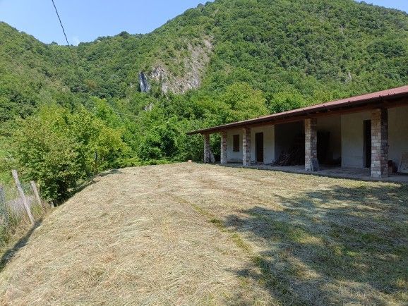 Una casa è situata in cima a una collina erbosa nel mezzo di una foresta.