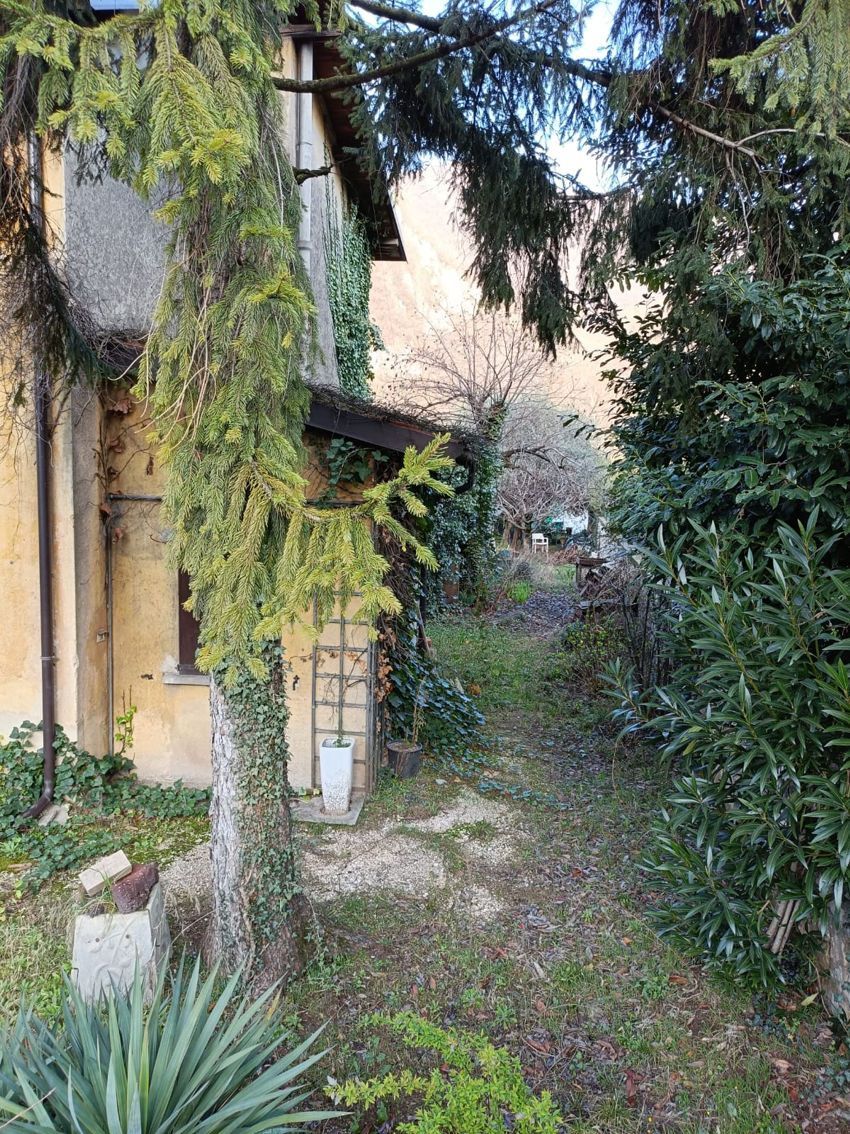 Un sentiero che conduce a una casa circondata da alberi e cespugli.