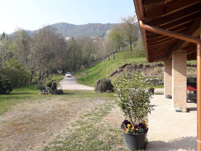 Una pianta in vaso è posta sotto un tetto di fronte a una casa.