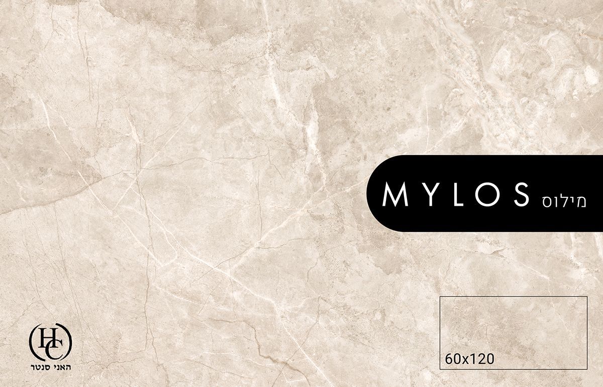 ריצוף פורצלן לבית