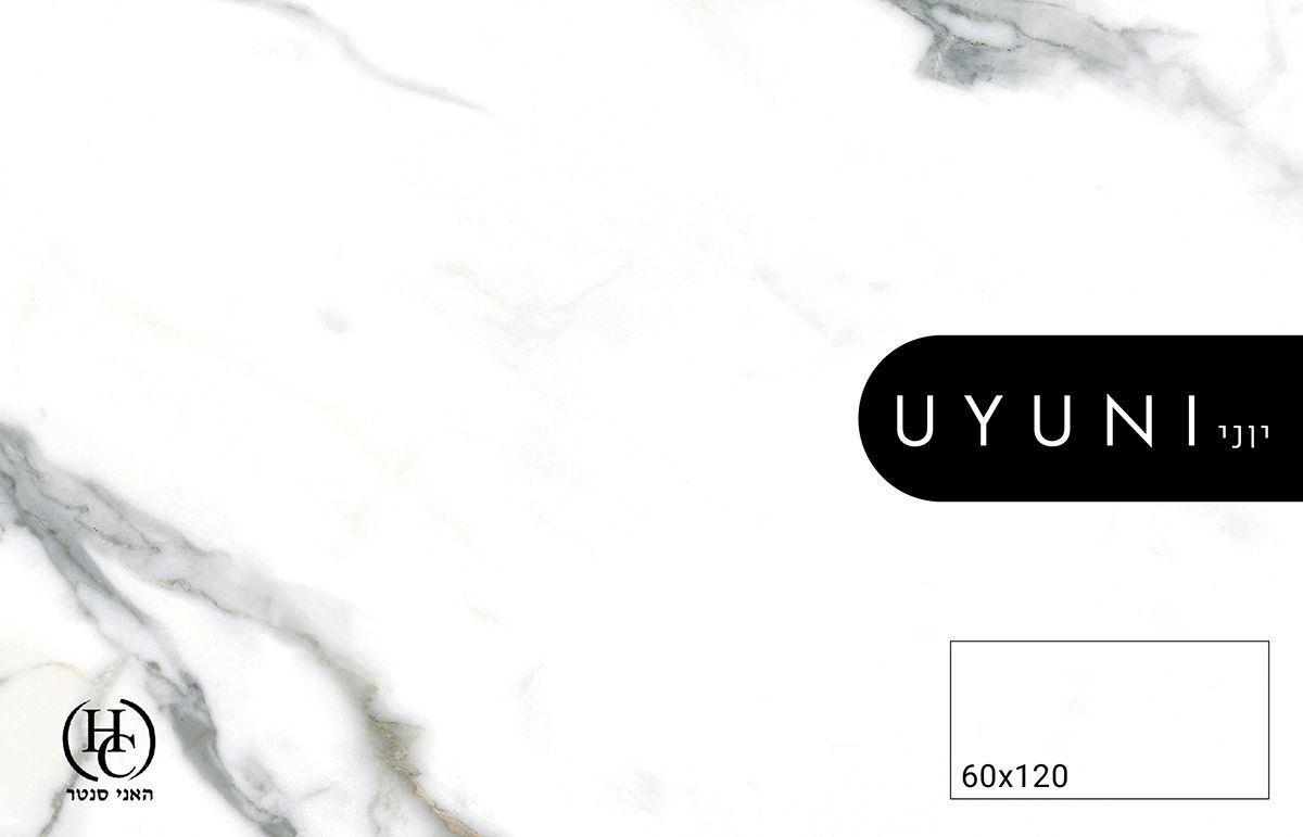 ריצוף פורצלן לבית