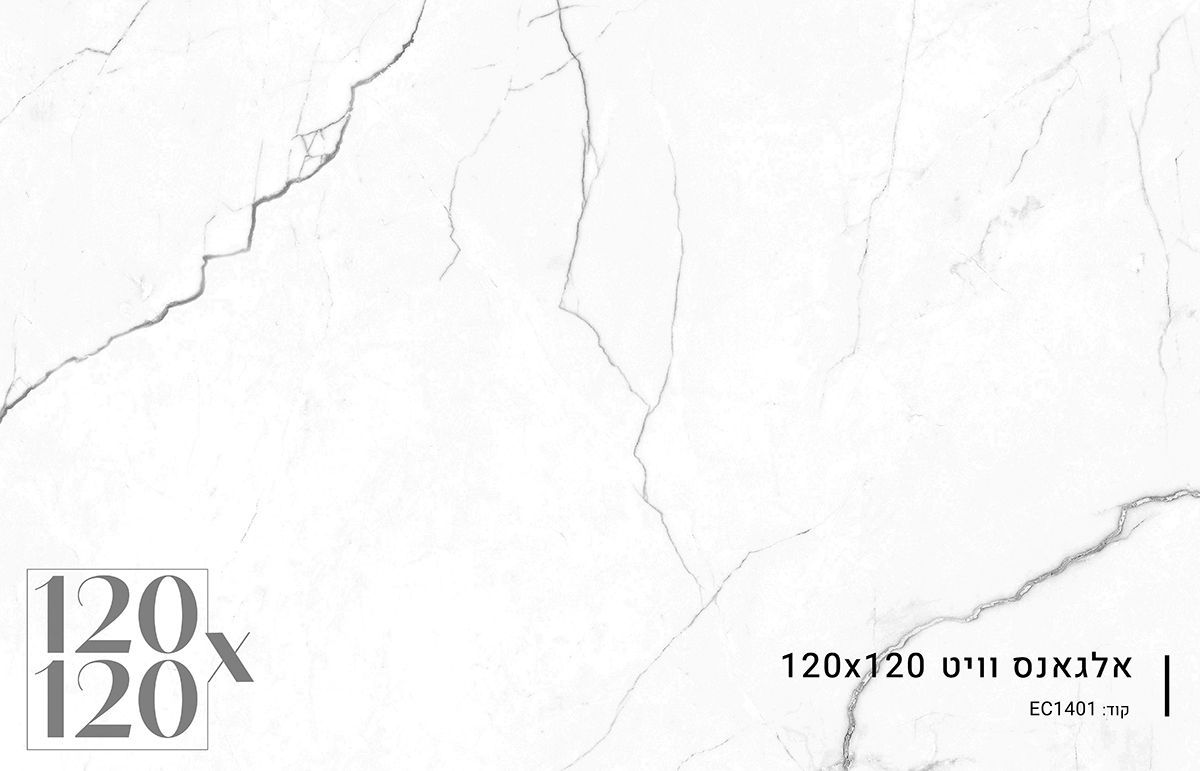 ריצוף 120X120