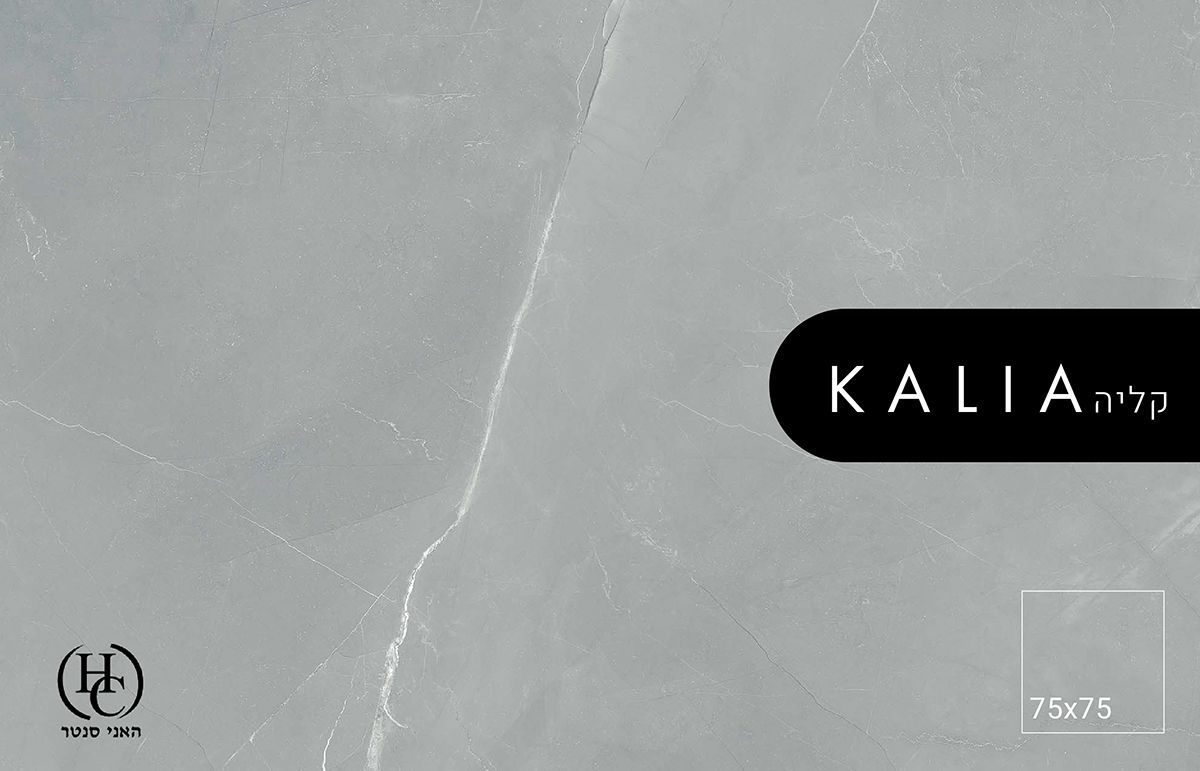 ריצוף פורצלן