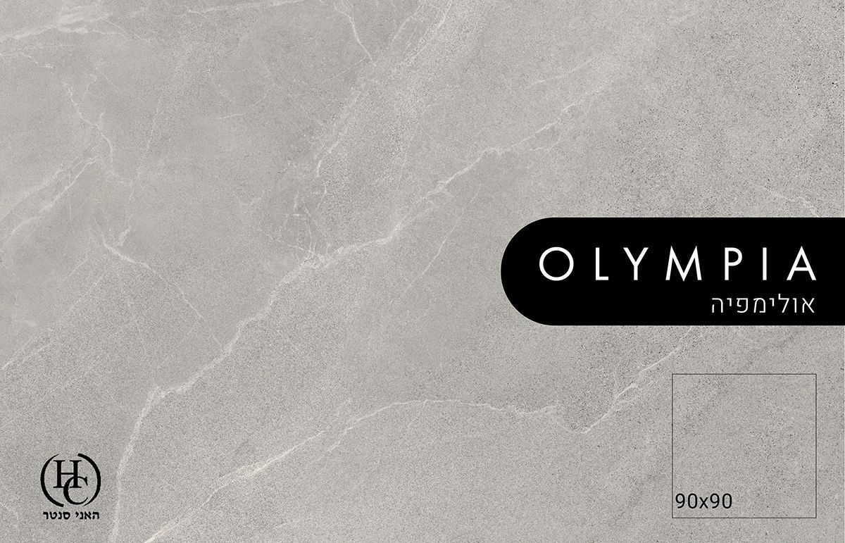 ריצוף פורצלן