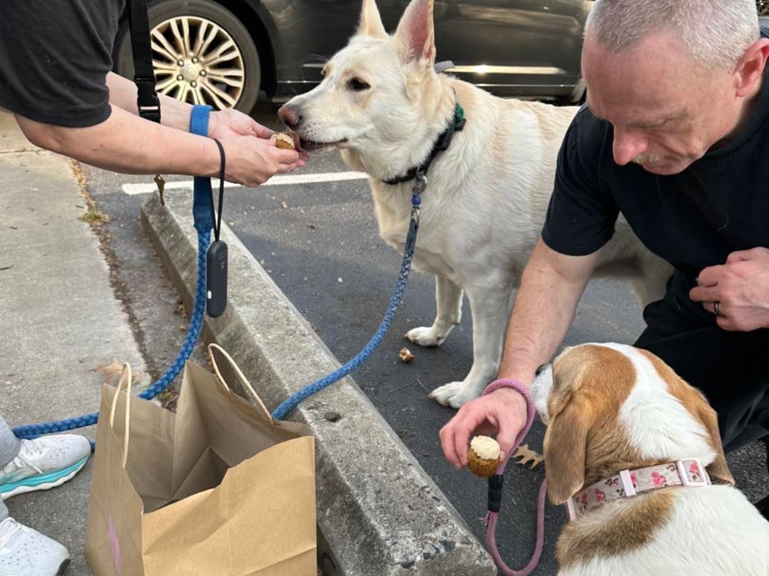 Summer Station Apartments Twisted Sisters Cupcakes Pop-Up