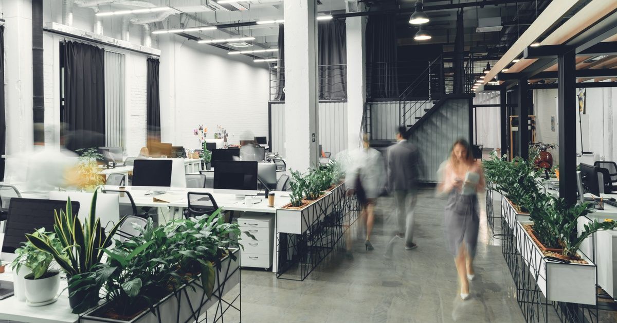 An office setting with several plants placed around the area. There are people moving around.