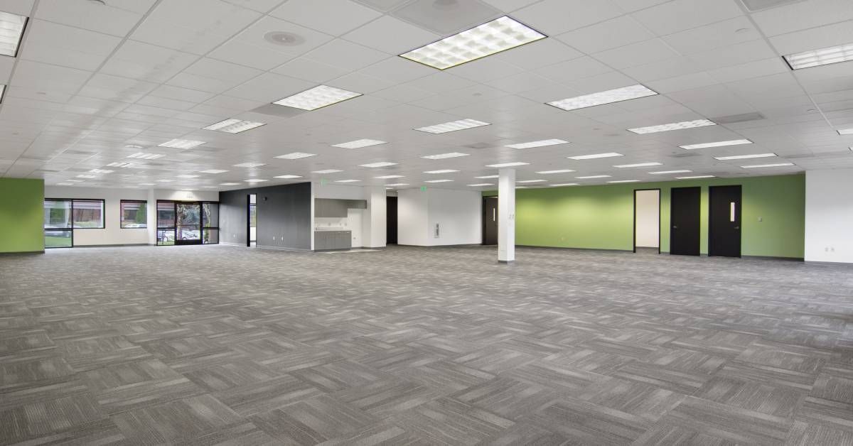 A large and empty conventional office space with grey carpets, bright overhead lights, and white and green walls.