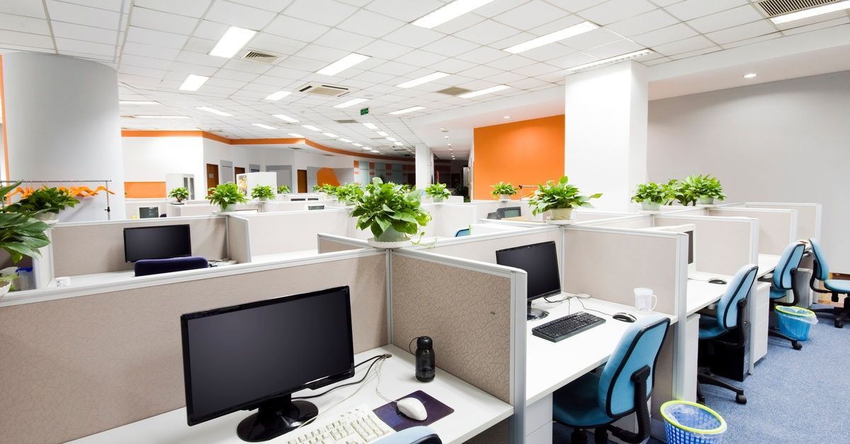 An office space with similar desks, chairs, keyboards, computer monitors, and plants side-by-side.