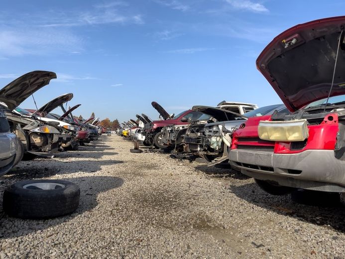 A lot of cars are sitting in a junkyard with their hoods open.