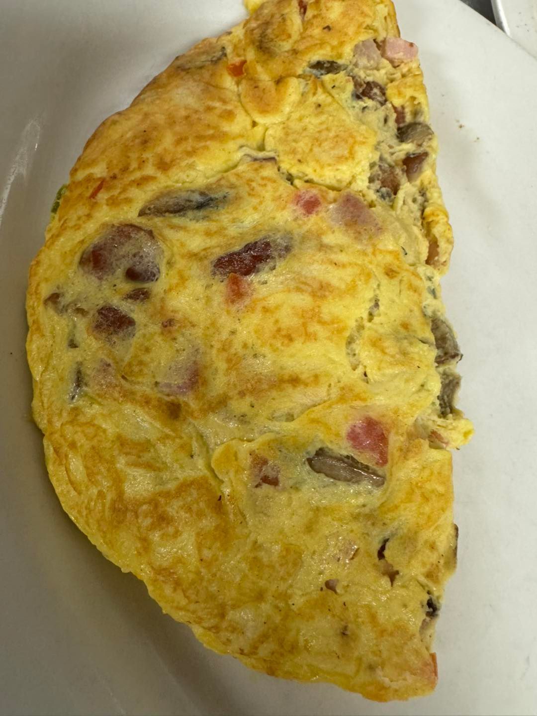 Omelet with visible mushrooms and red ingredients, resting on a white plate.