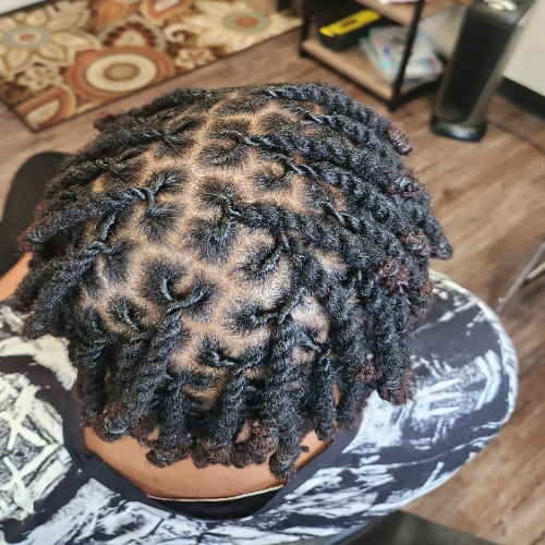 The back of a person 's head with dreadlocks