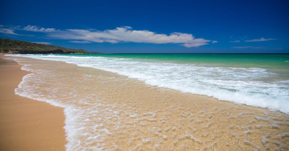 Beautiful View From The Beach — Pest Control in Sussex Inlet, NSW