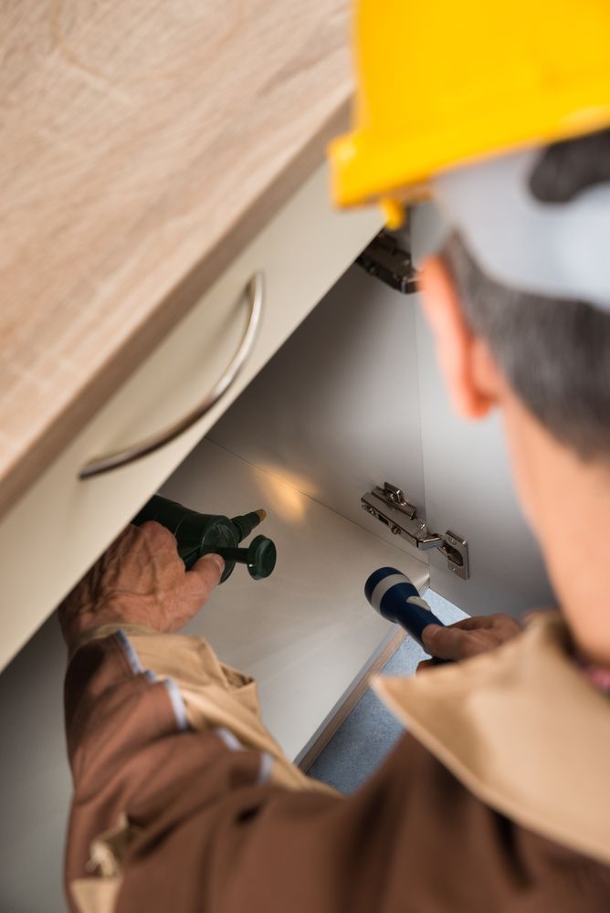 Close-Up of Pest Control Worker Spraying Chemicals — Pest Control in Ulladulla, NSW