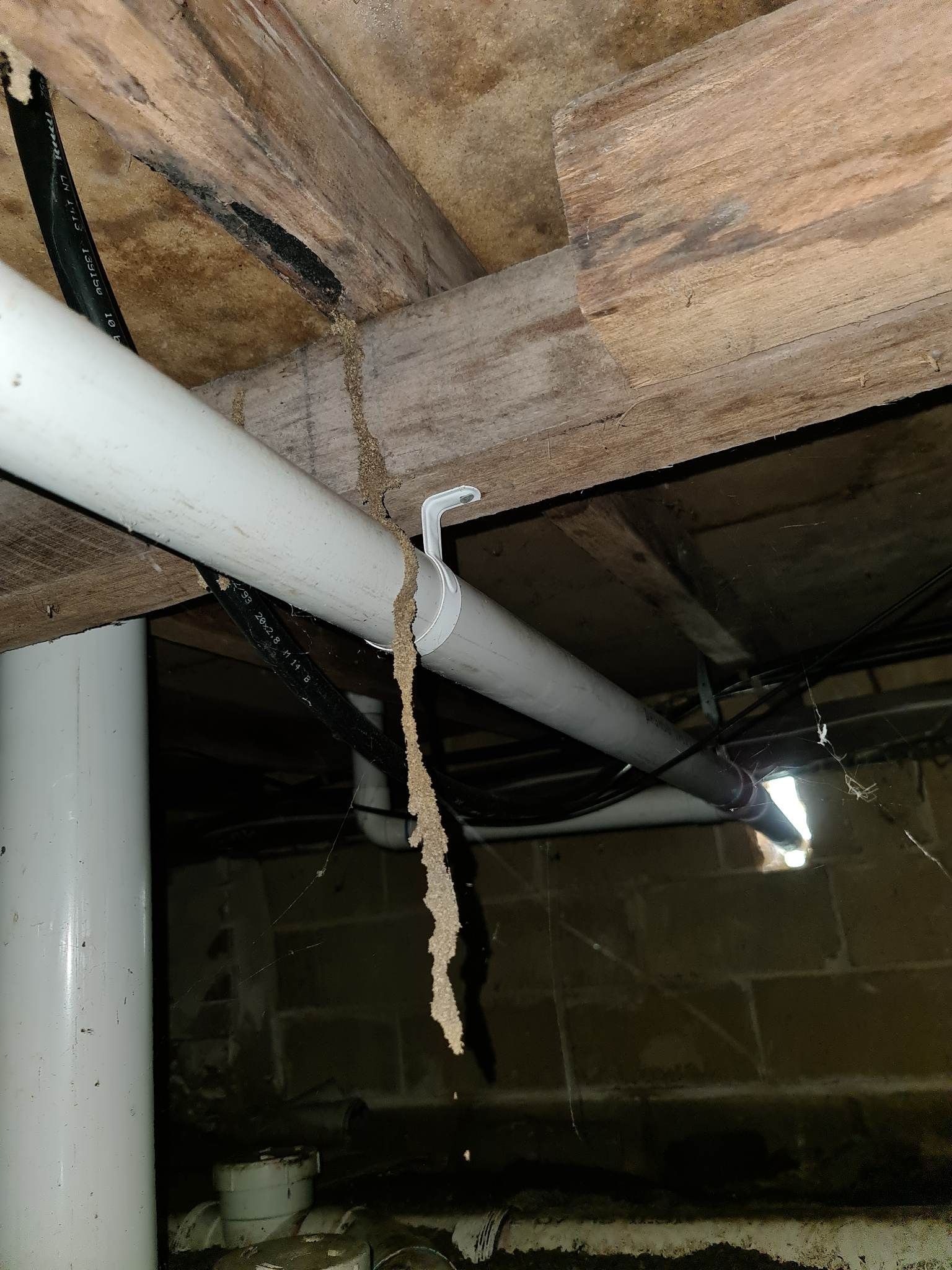 Termites control — Pest Control in Ulladulla, NSW