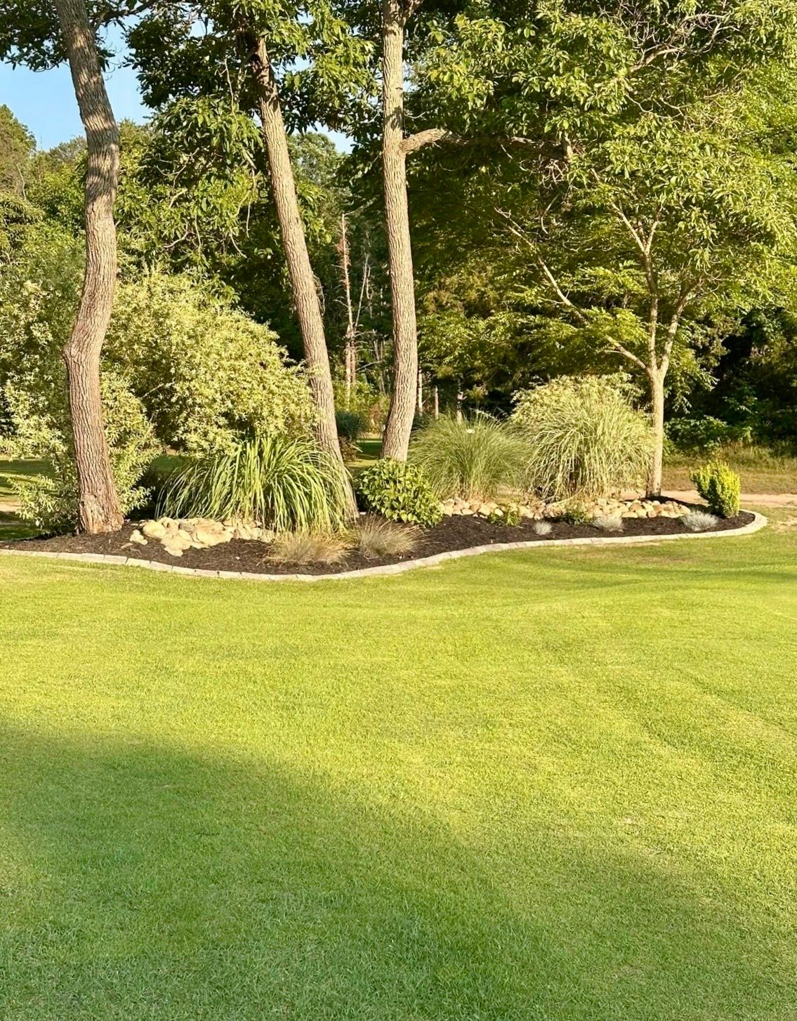 A curved landscaping bed with dark mulch and various green shrubs and grasses sits in front of tall trees and green lawn.