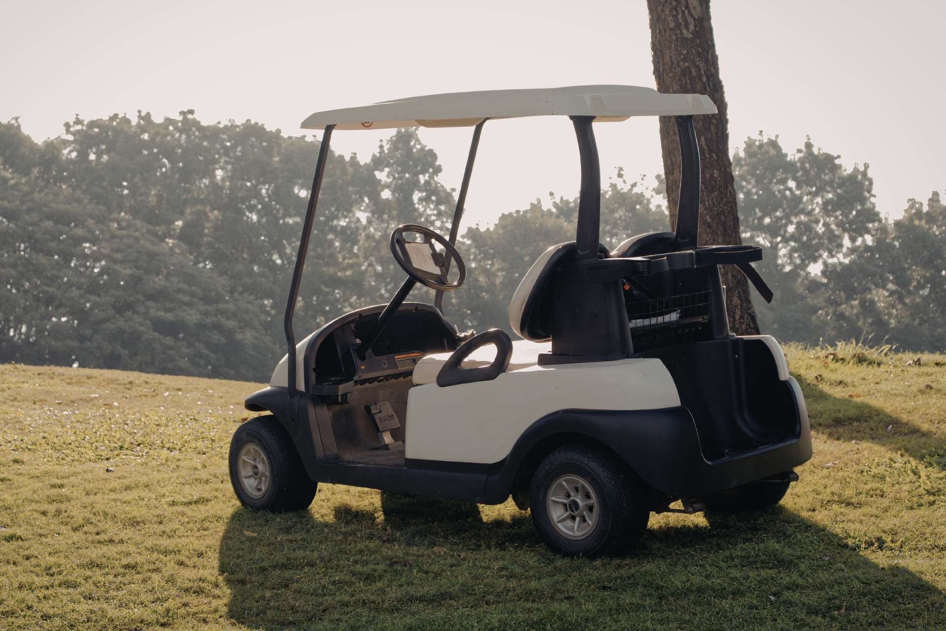 A beige golf cart parked on a grassy hill next to a tree in a sunny, outdoor setting.