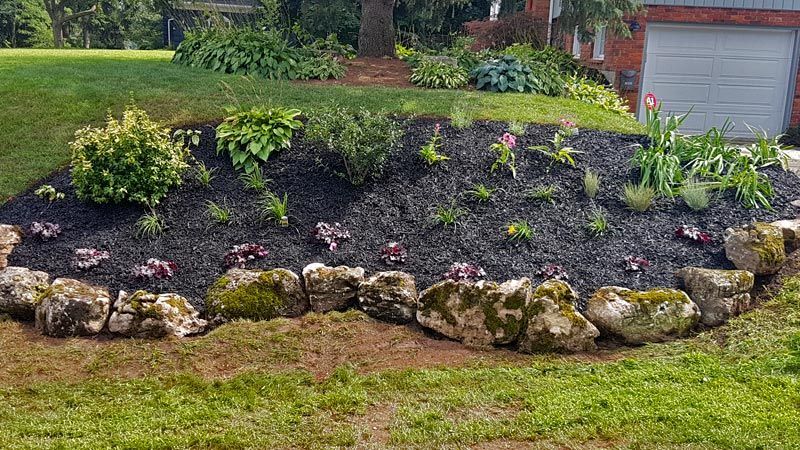 Completed planting and mulching project