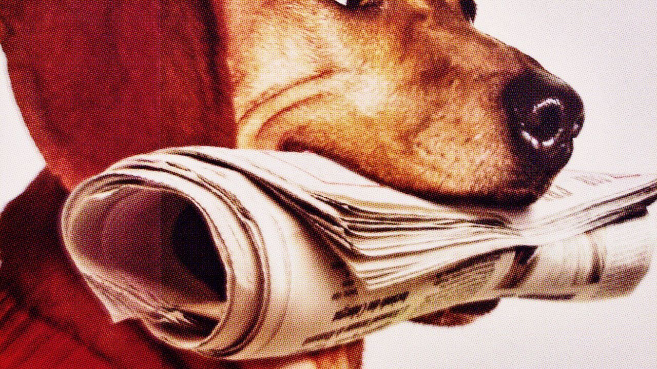 A dog is holding a newspaper in its mouth.