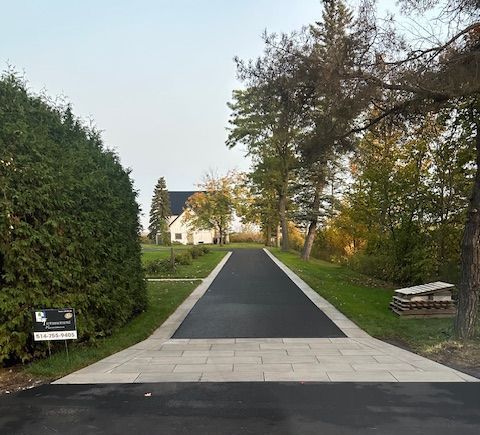 Une allée menant à une maison entourée d'arbres et de buissons.