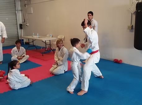 A group of people are practicing martial arts in a gym.