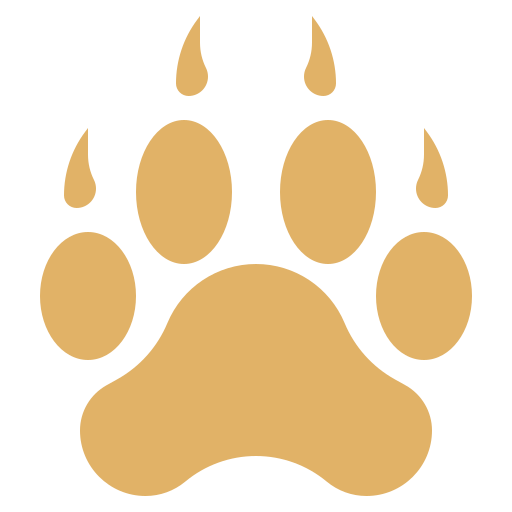 A paw print of a bear with claws on a white background.