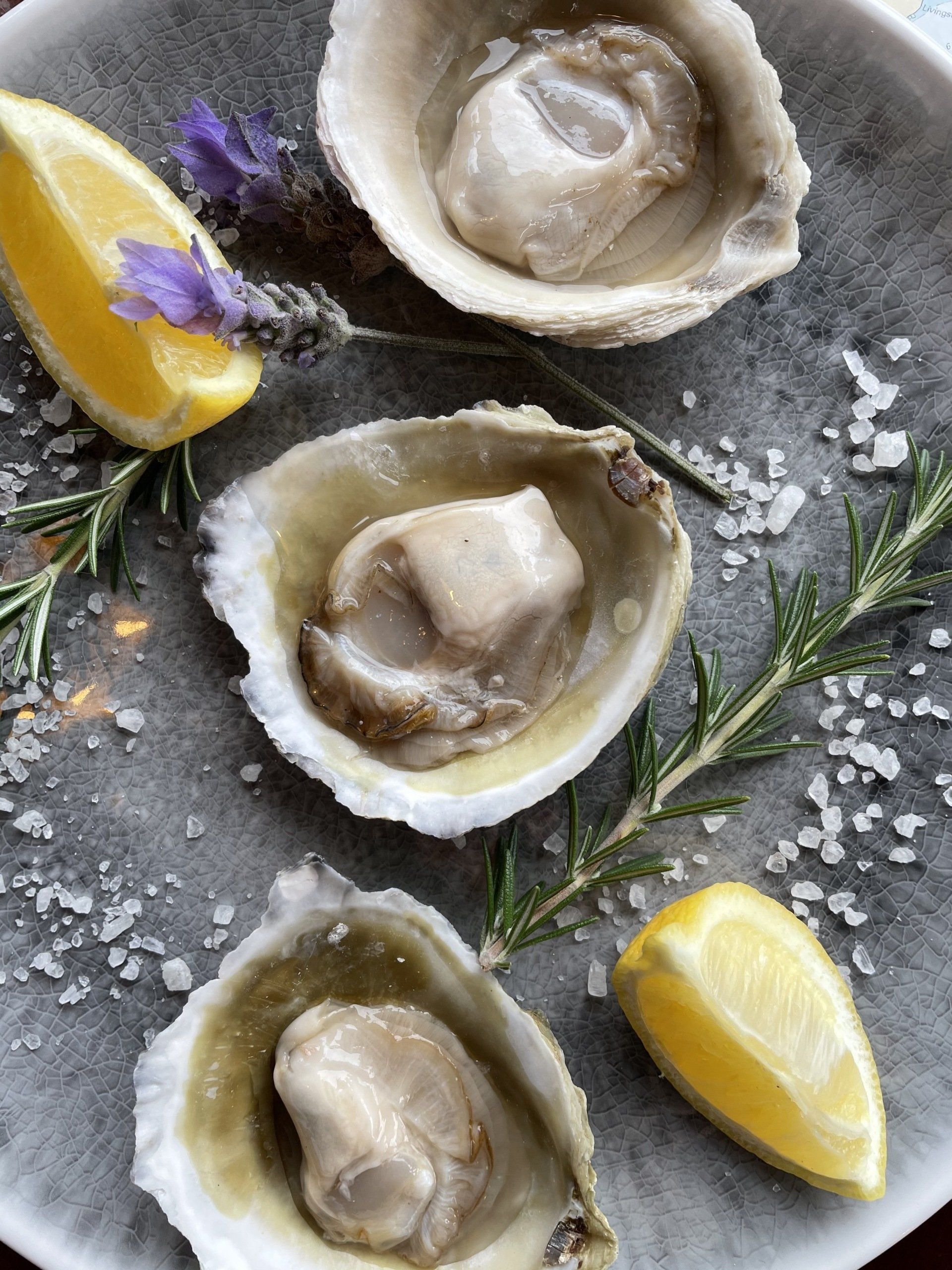 Three oysters on a plate with lemon slices and rosemary.