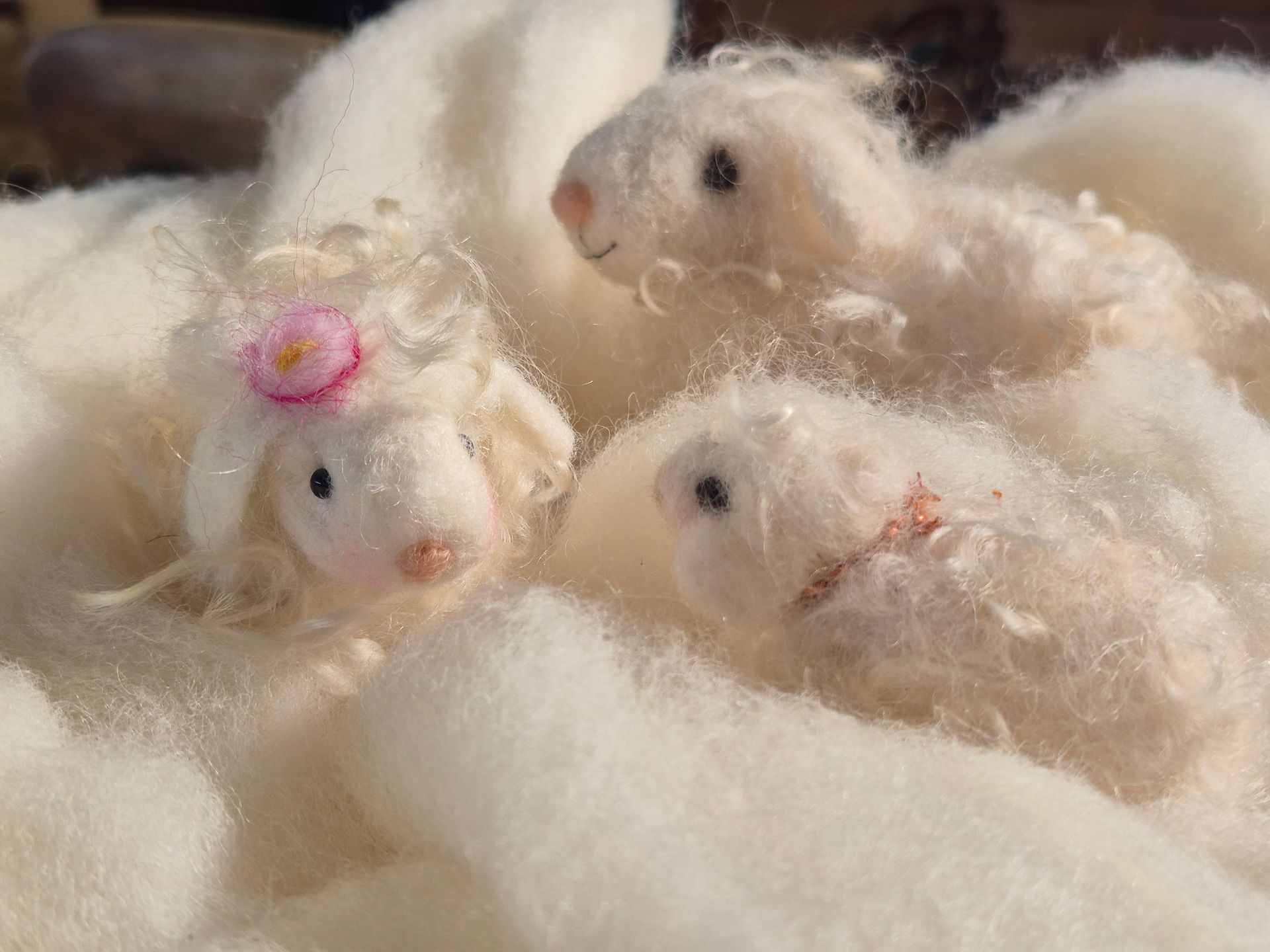 Maak je eigen schaapje