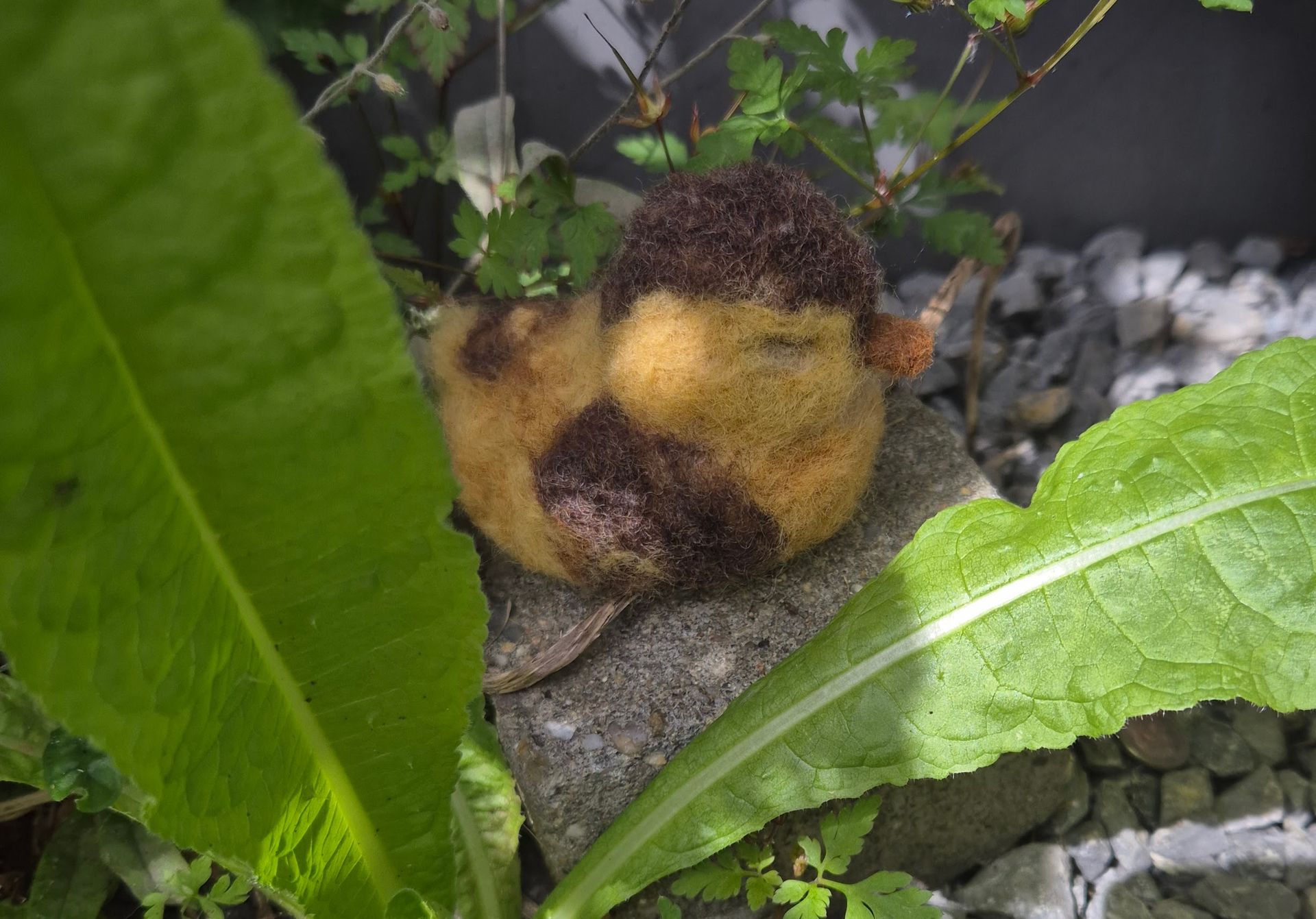 Pulletje, fluffy