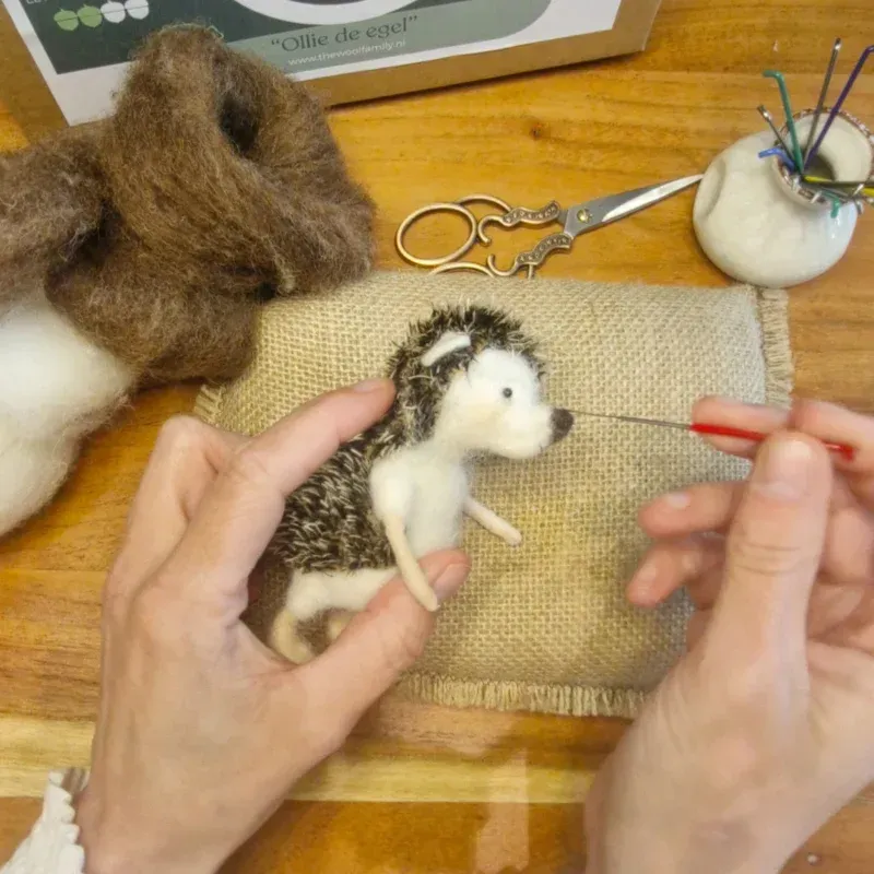 Ollie de egel, naaldviltpakket