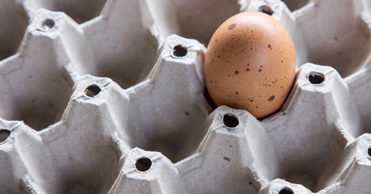 Close-up of a speckled brown egg in an otherwise empty egg crate