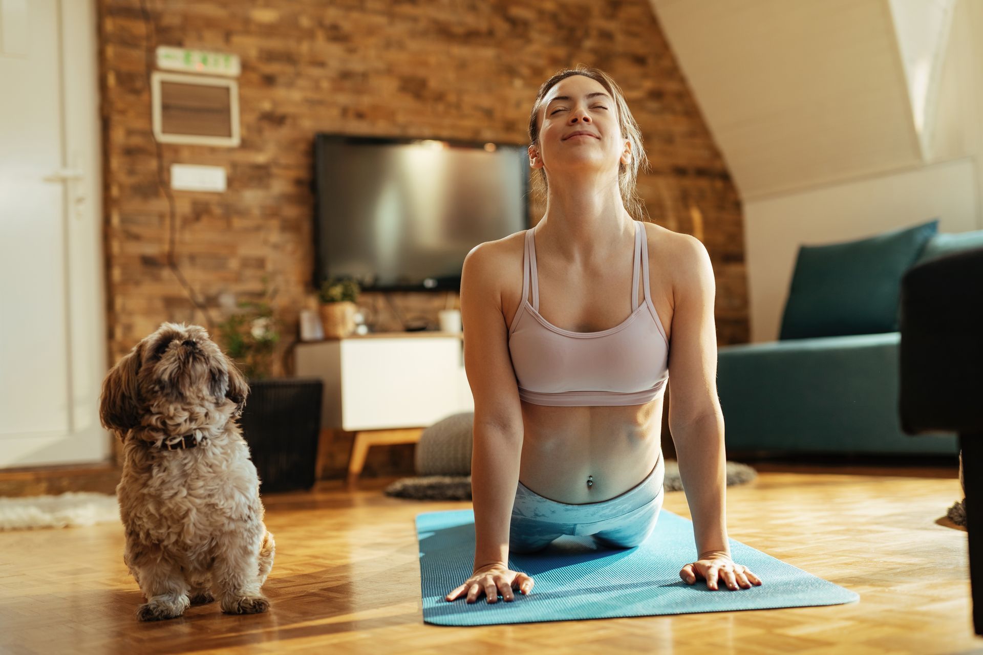 A woman is doing yoga, the cobra pose, in a living room with her dog.