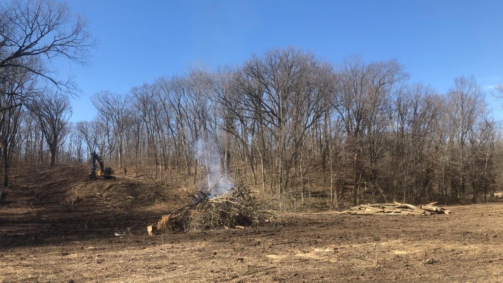 A field with trees in the background and smoke coming out of it.