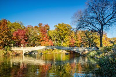 Bridge in NJ