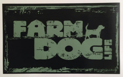 A green, distressed-style graphic on a black background reads 