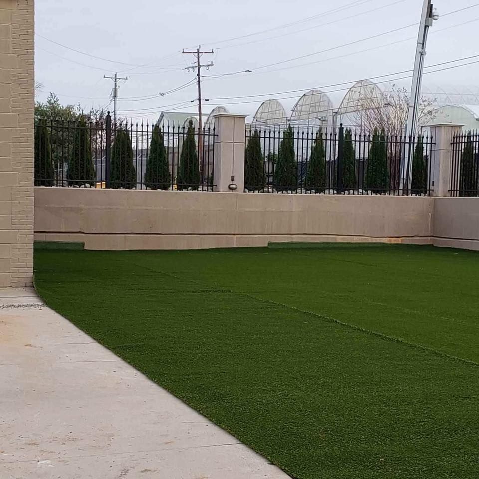 Green artificial grass yard behind a wall with black fence, trees, and a building.